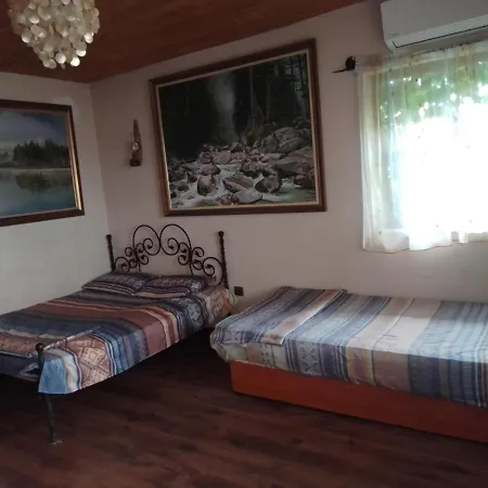 Guest Amazonka Varna