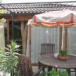 Guest Amazonka Warna