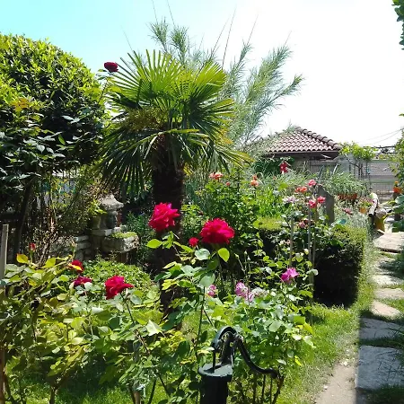 Amazonka * וארנה