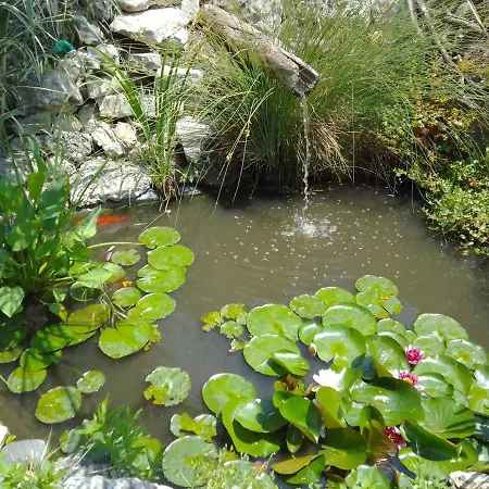 招待所 Amazonka 瓦爾納