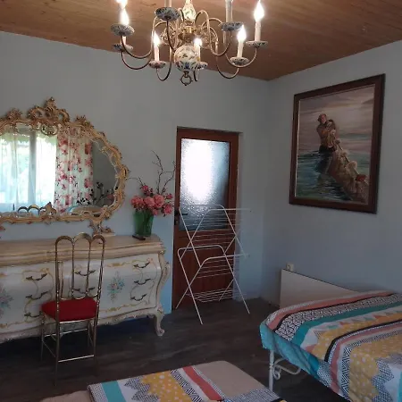 Amazonka 招待所 *