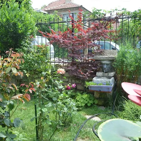 Amazonka * וארנה