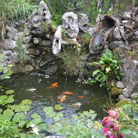 Amazonka בית הארחה וארנה