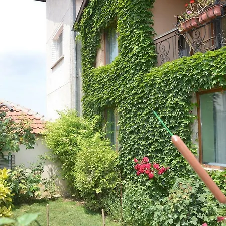 Vendégház Amazonka *