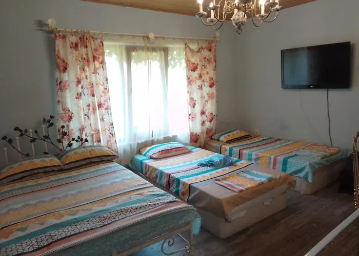 Amazonka * فارنا