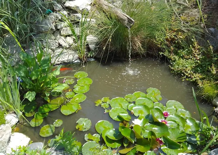 بيت ضيافة Amazonka فارنا