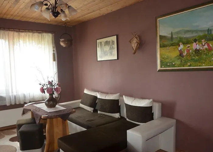 Pensionat Amazonka *