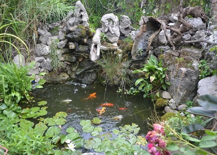 Amazonka Pensionat Varna