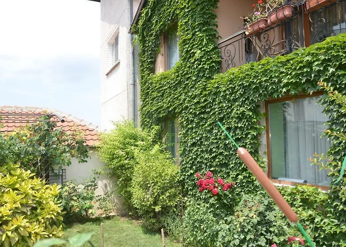 Pensionat Amazonka *